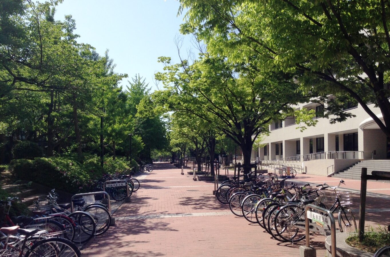 大阪大学